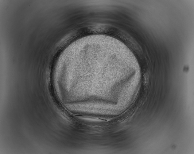 X0000102010733200808081724