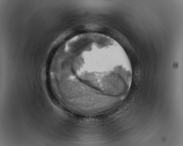 X0000102010734200808081724