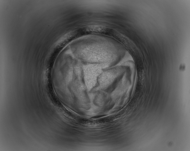 X0000102010735200808081724