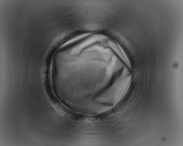 X0000102010736200808081724