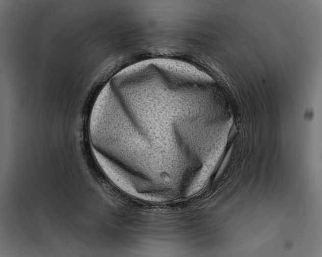 X0000102010738200808081724