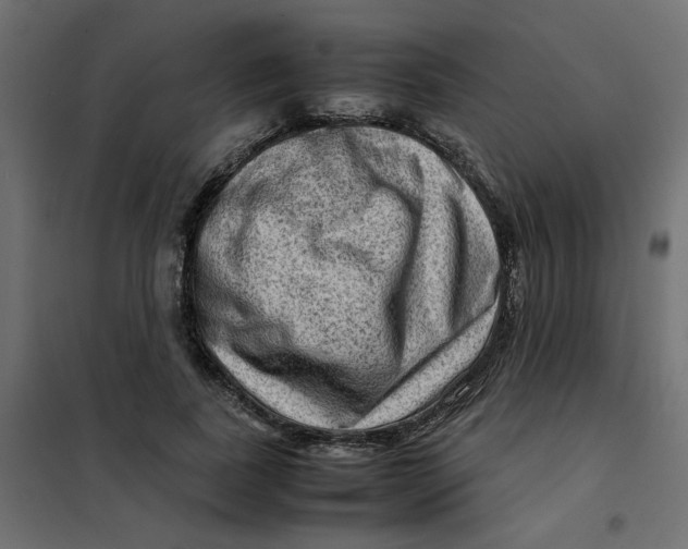 X0000102010739200808081724