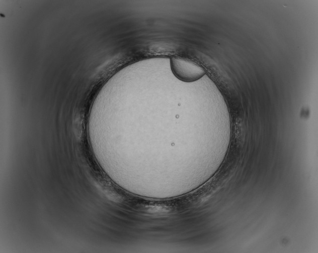 X0000102010741200808081724