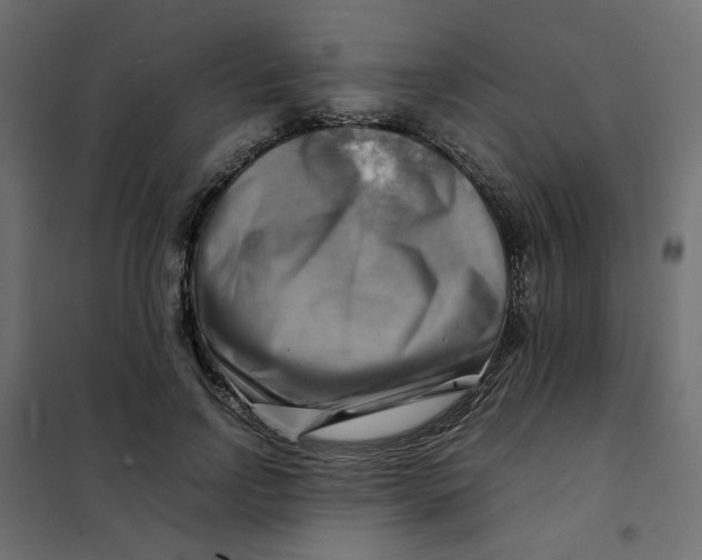 X0000102010742200808081724