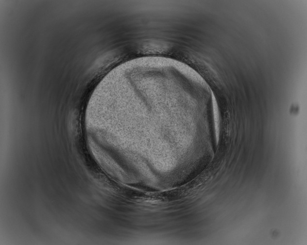 X0000102010743200808081724