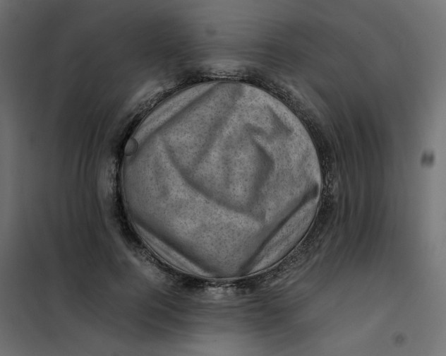 X0000102010744200808081724