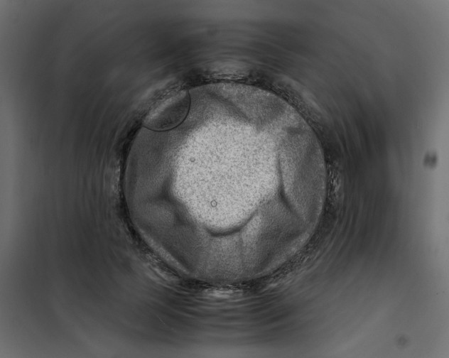 X0000102010745200808081724