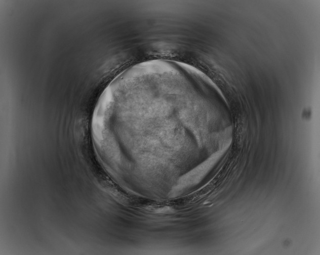 X0000102010747200808081724