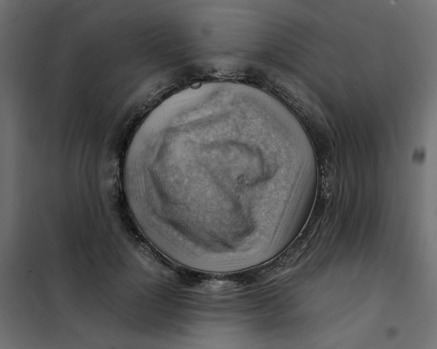 X0000102010748200808081724