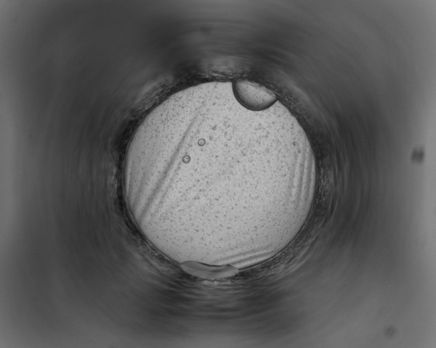 X0000102010749200808081724