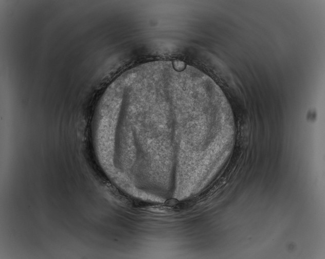 X0000102010750200808081724