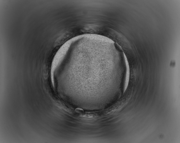 X0000102010751200808081724