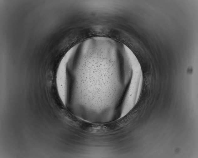 X0000102010752200808081724