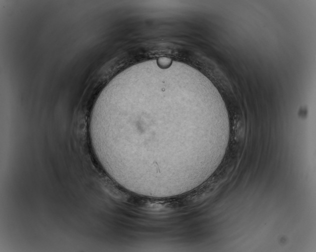 X0000102010753200808081724