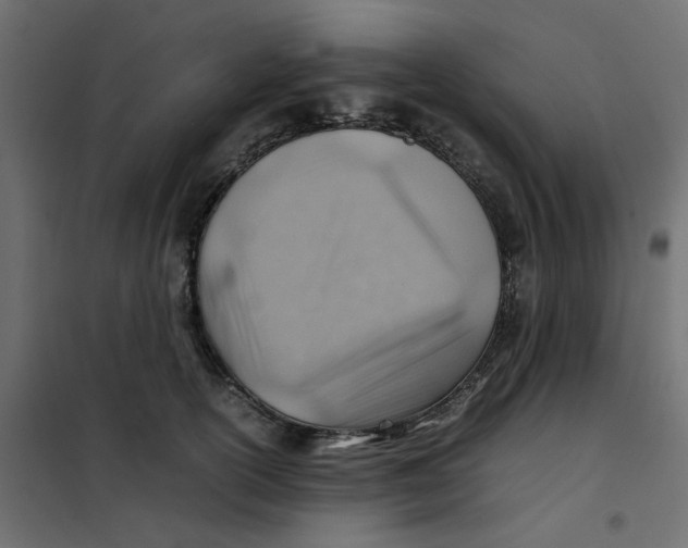 X0000102010754200808081724