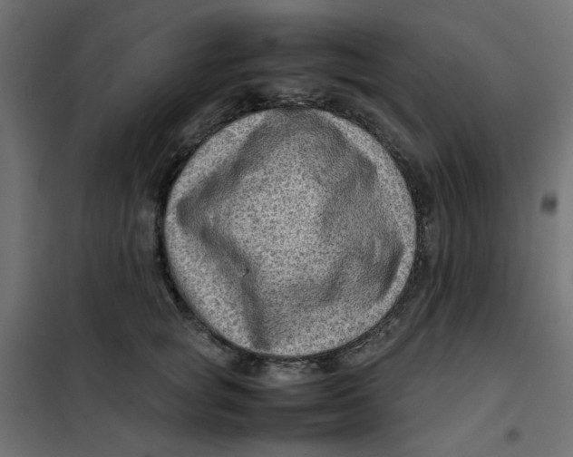 X0000102010757200808081724