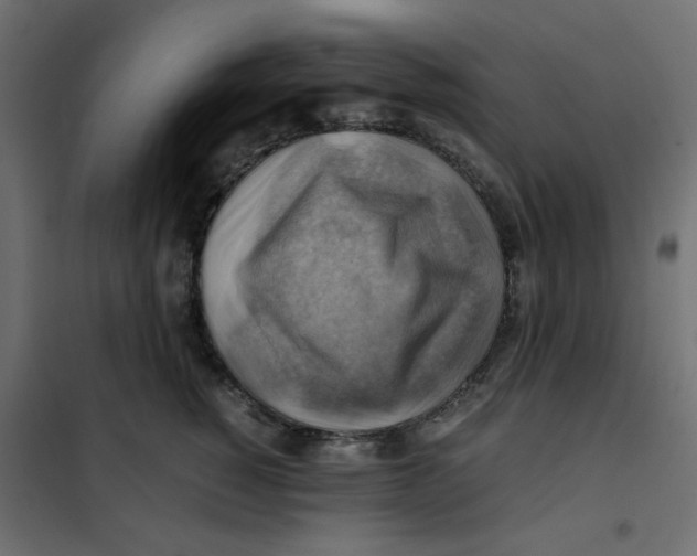 X0000102010760200808081724