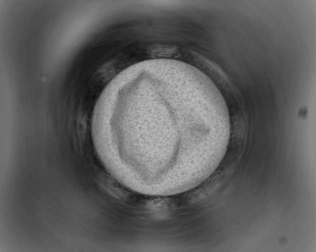 X0000102010761200808081724