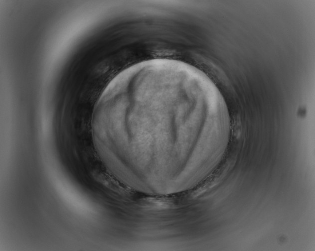 X0000102010763200808081724