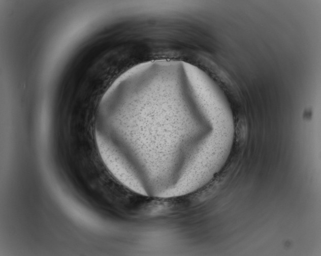 X0000102010764200808081724