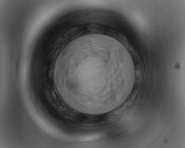 X0000102010765200808081724