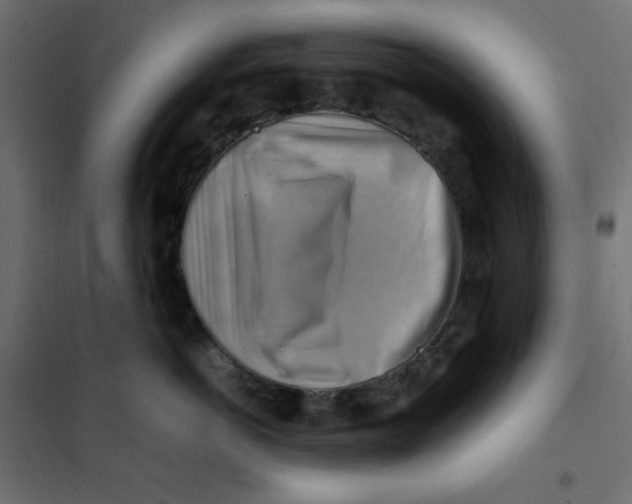 X0000102010766200808081724