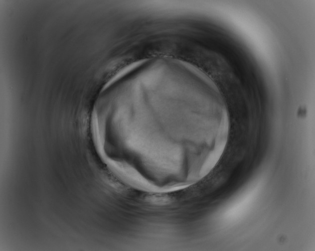 X0000102010767200808081724