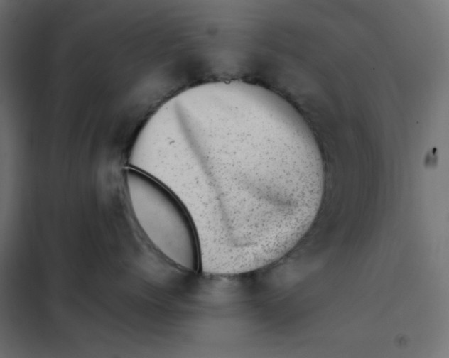 X0000102010768200808081724