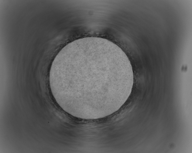 X0000102010769200808081723