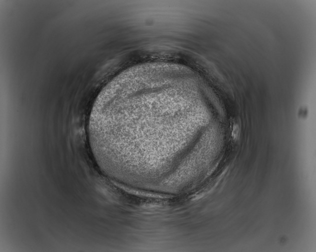 X0000102010771200808081723