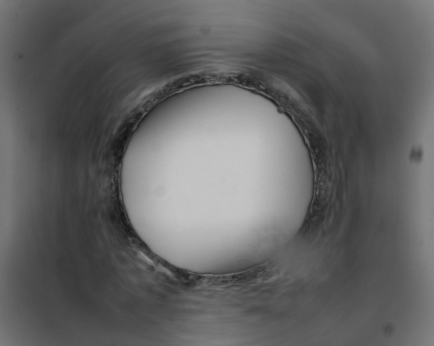 X0000102010773200808081723