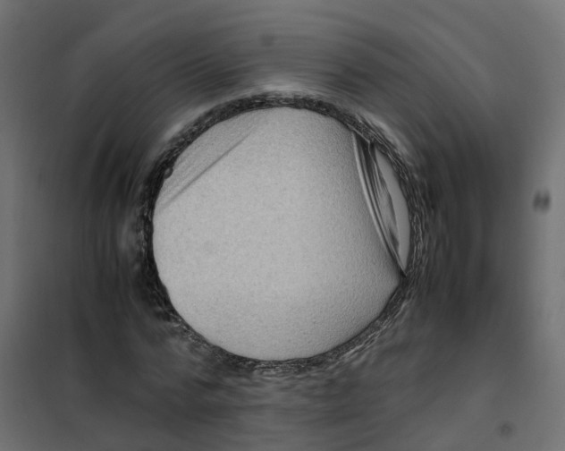 X0000102010776200808081723