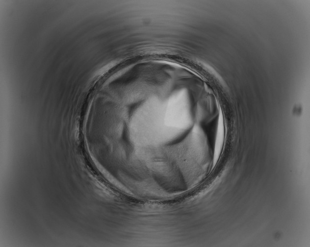 X0000102010777200808081723