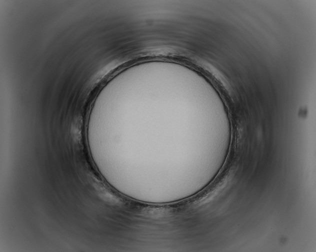 X0000102010778200808081723