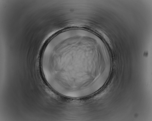 X0000102010779200808081723