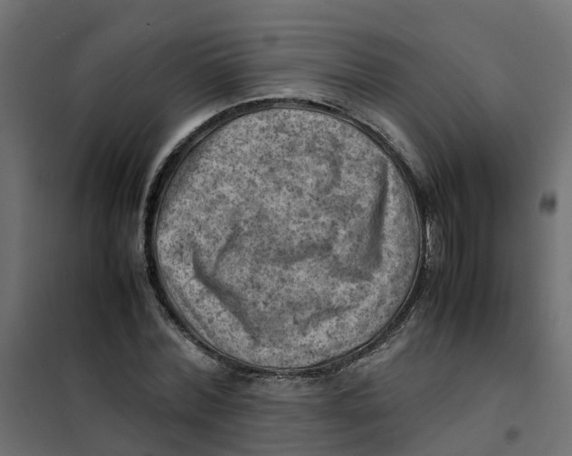 X0000102010780200808081723