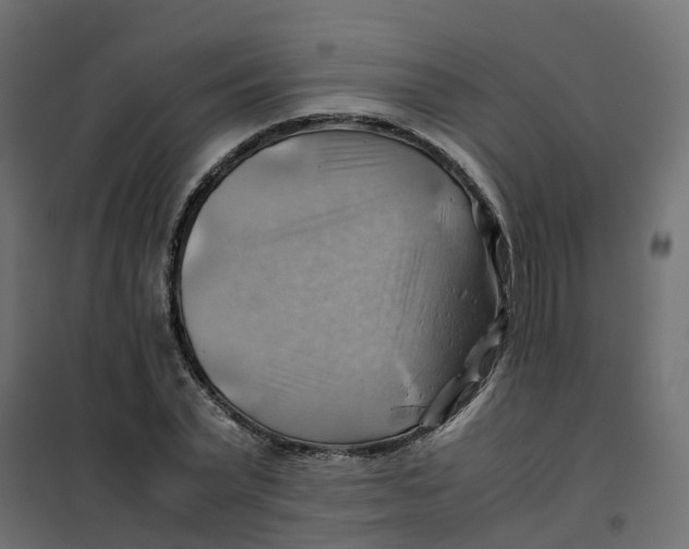 X0000102010783200808081723