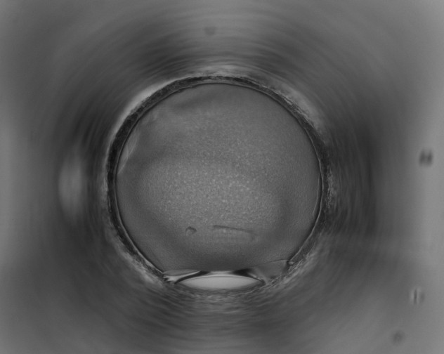 X0000102010784200808081723