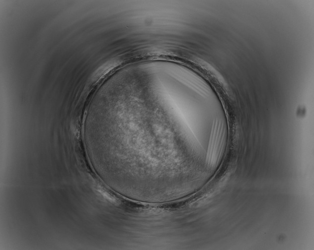 X0000102010785200808081723