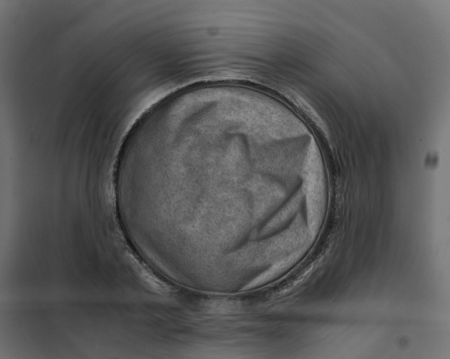 X0000102010789200808081723