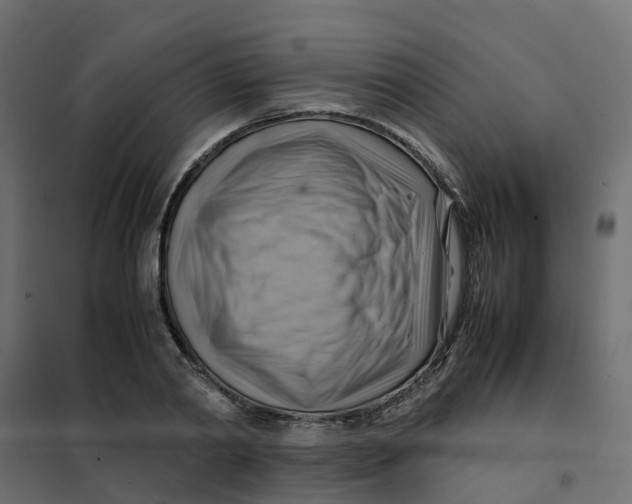 X0000102010790200808081723