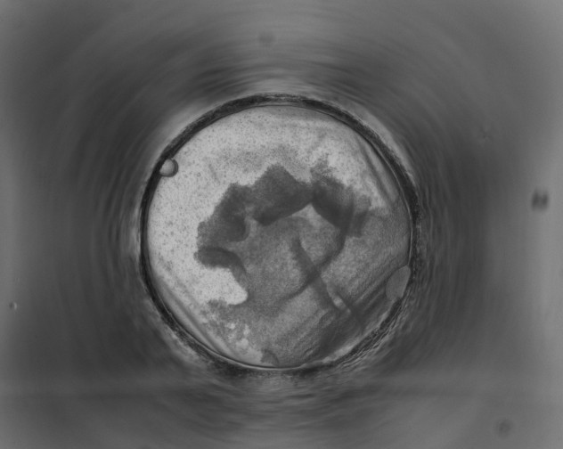 X0000102010791200808081723