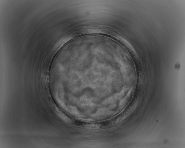 X0000102010793200808081723