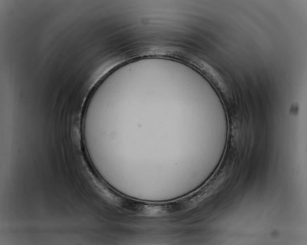 X0000102010794200808081723