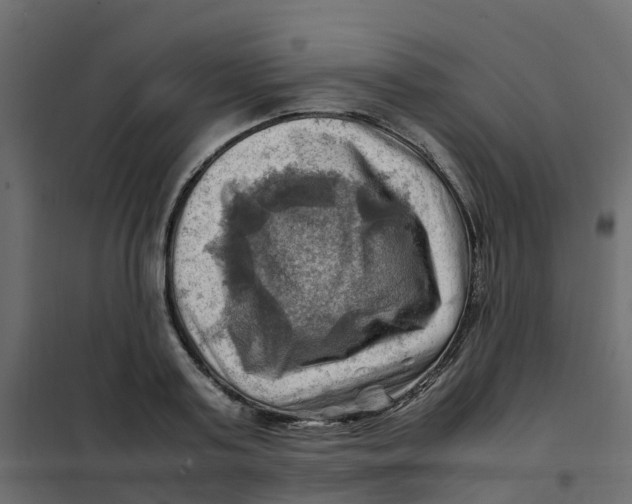 X0000102010795200808081723