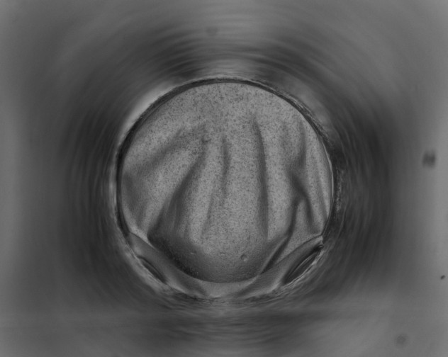 X0000102010796200808081723