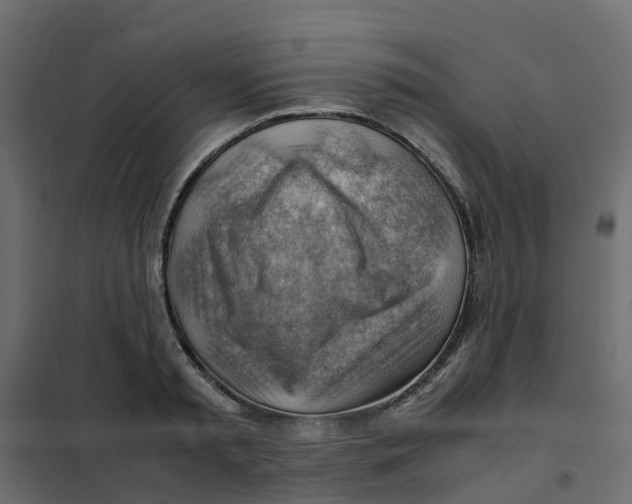 X0000102010797200808081723