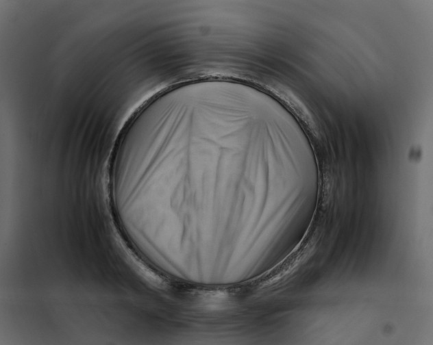 X0000102010798200808081723