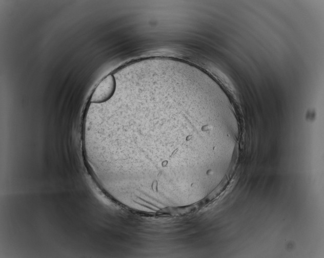 X0000102010800200808081723