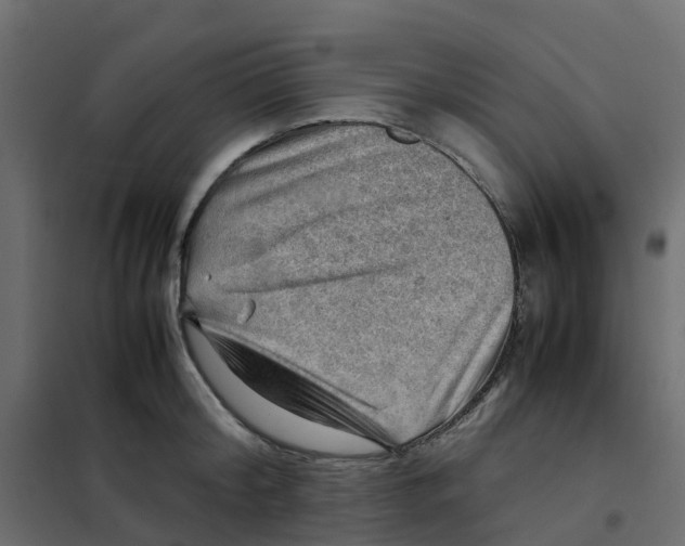 X0000102010804200808081723